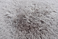 Paddington-Bunny-Detail2