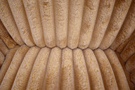 Paddington-BeCharming-Detail2