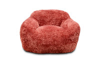 Paddington-Doodle-Front